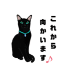 黒猫さん 冬ver.（個別スタンプ：24）