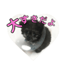ポポちゃん大好きだよ☺︎（個別スタンプ：1）