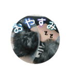 ポポちゃん大好きだよ☺︎（個別スタンプ：8）