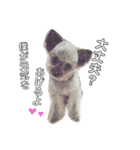 ポポちゃん大好きだよ☺︎（個別スタンプ：10）