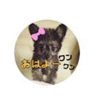ポポちゃん大好きだよ☺︎（個別スタンプ：13）