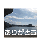 日常生活やお仕事で使える挨拶スタンプ（個別スタンプ：10）