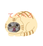 とるてさんスタンプ（個別スタンプ：2）