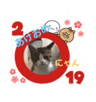 トイプー   アポロⅣ（個別スタンプ：5）