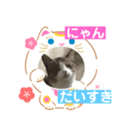 トイプー   アポロⅣ（個別スタンプ：6）