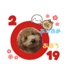 トイプー   アポロⅣ（個別スタンプ：8）