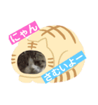 トイプー   アポロⅣ（個別スタンプ：13）