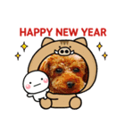 pomo new year（個別スタンプ：4）