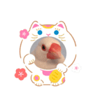 文鳥年賀（個別スタンプ：2）
