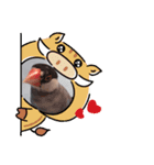 文鳥年賀（個別スタンプ：6）