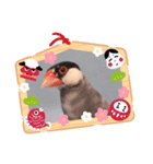 文鳥年賀（個別スタンプ：8）