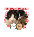 次元とkeiと時々くぅ 2019 HAPPY NEW YEAR（個別スタンプ：1）