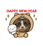 次元とkeiと時々くぅ 2019 HAPPY NEW YEAR（個別スタンプ：3）