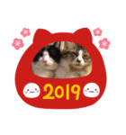 次元とkeiと時々くぅ 2019 HAPPY NEW YEAR（個別スタンプ：4）