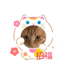 ニャンコたちの新年挨拶（個別スタンプ：3）