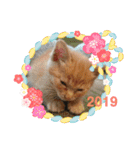ニャンコたちの新年挨拶（個別スタンプ：7）