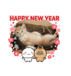 ニャンコたちの新年挨拶（個別スタンプ：12）