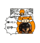 清水弁のクマトラ（個別スタンプ：1）