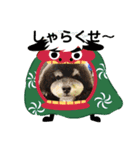 清水弁のクマトラ（個別スタンプ：5）