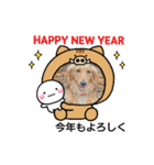 ワンにゃん迎春（個別スタンプ：3）