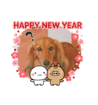 ワンにゃん迎春（個別スタンプ：5）