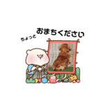 ワンにゃん迎春（個別スタンプ：11）