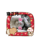ワンにゃん迎春（個別スタンプ：14）