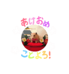 キンクマハムスター#年末年始きなさん（個別スタンプ：6）