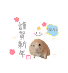 キンクマハムスター#年末年始きなさん（個別スタンプ：8）