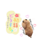 キンクマハムスター#年末年始きなさん（個別スタンプ：11）