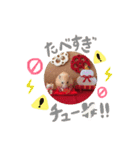 キンクマハムスター#年末年始きなさん（個別スタンプ：12）