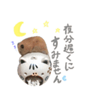 キンクマハムスター#年末年始きなさん（個別スタンプ：15）