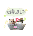 キンクマハムスター#年末年始きなさん（個別スタンプ：19）