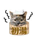 年始のご挨拶（個別スタンプ：4）