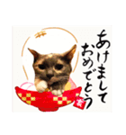 年始のご挨拶（個別スタンプ：6）
