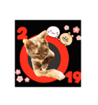年始のご挨拶（個別スタンプ：12）