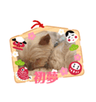 年始のご挨拶（個別スタンプ：13）