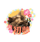 年始のご挨拶（個別スタンプ：14）