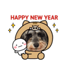 ミニチュアシュナウザー ルアナ の新年②（個別スタンプ：2）