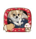 あけおめきりぼん（個別スタンプ：7）