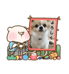 あけおめきりぼん（個別スタンプ：15）