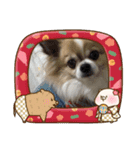 あけおめきりぼん（個別スタンプ：16）