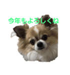 あけおめきりぼん（個別スタンプ：19）