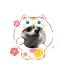 あけおめきりぼん（個別スタンプ：24）