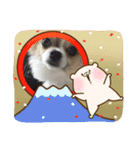 あけおめきりぼん（個別スタンプ：29）