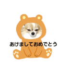 あけおめきりぼん（個別スタンプ：31）
