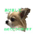 あけおめきりぼん（個別スタンプ：32）