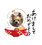 ラウロコ2019あけおめ（個別スタンプ：1）