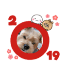 ラウロコ2019あけおめ（個別スタンプ：3）