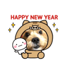 ラウロコ2019あけおめ（個別スタンプ：7）